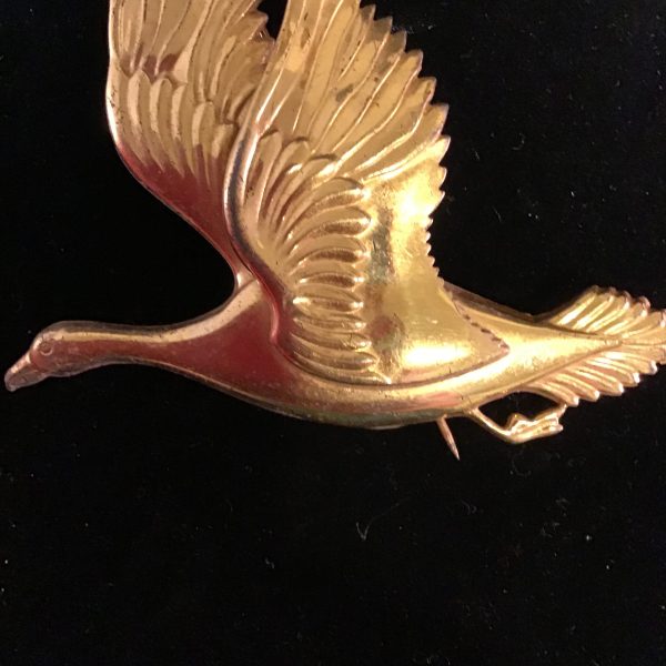 Golden Goose