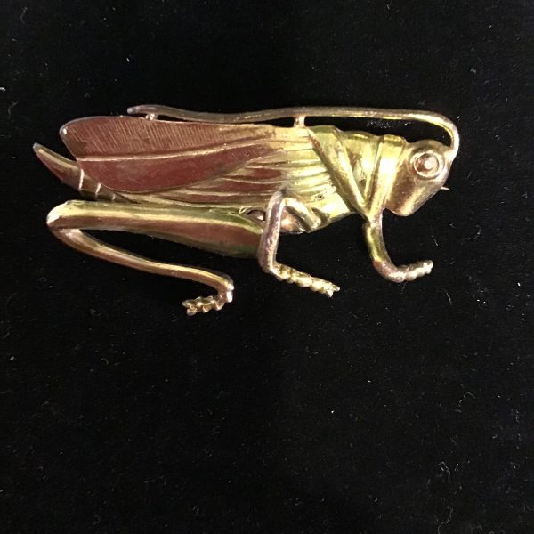 Mister Grass Hopper