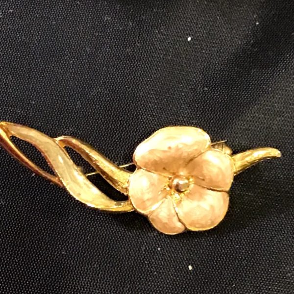 Rose of Love